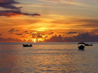 شقة Seascape On Heavenly Bay Castara المظهر الخارجي الصورة